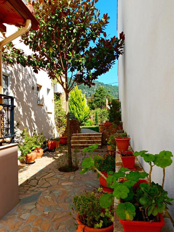 Panorama Apartments And Studios Chrisi Ammoudia Esterno foto