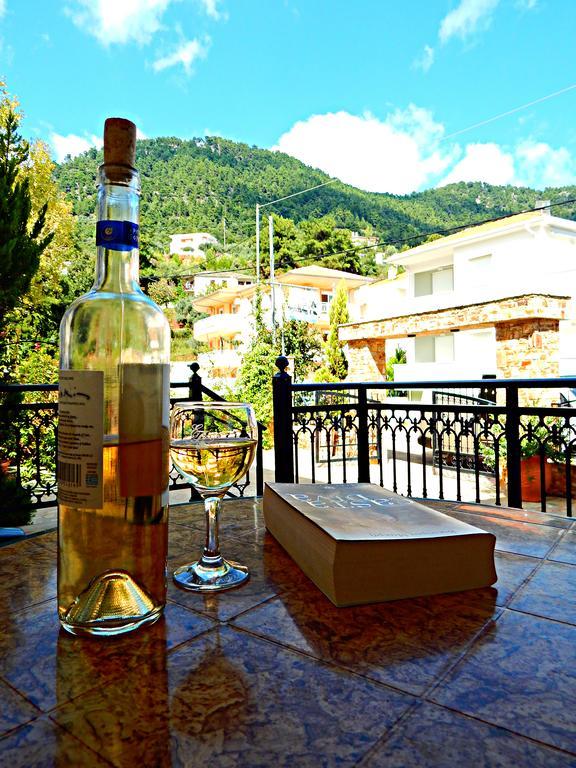 Panorama Apartments And Studios Chrisi Ammoudia Esterno foto